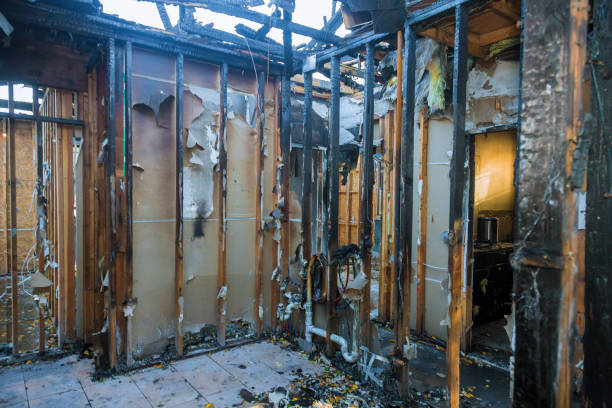 Professional Fire Damage Removal technician working in Galeville, NY